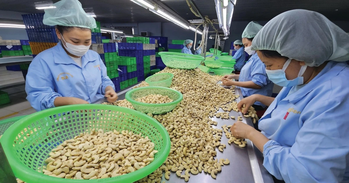 Nghịch lý mặt hàng top đầu thế giới của Việt Nam: Nhập khẩu cao hơn xuất khẩu