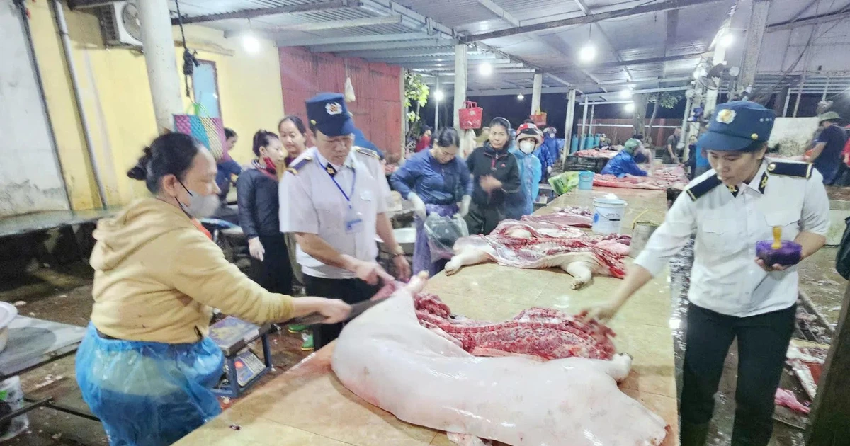 Vụ thịt lợn dịch vào bếp ăn trường học: Không thể đổ do thiếu người, lương thấp