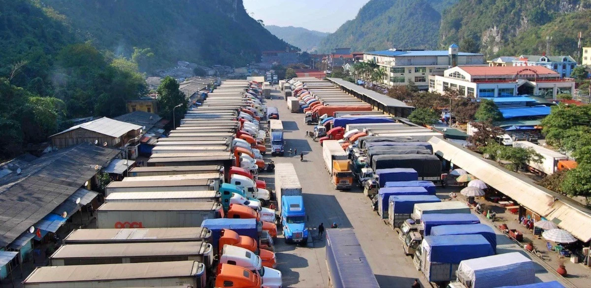 tienphong.vn