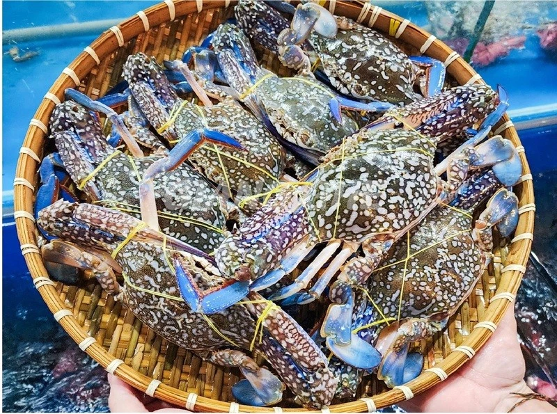 Mỹ ngừng nhập ghẹ từ Philippines, ghẹ Việt đón cơ hội