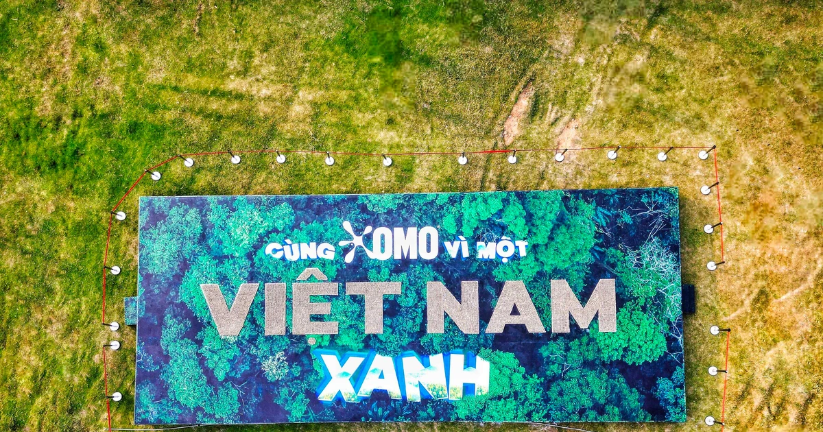 OMO lập kỷ lục Guinness thế giới xếp chữ ‘Việt Nam’ từ banh hạt giống lớn nhất