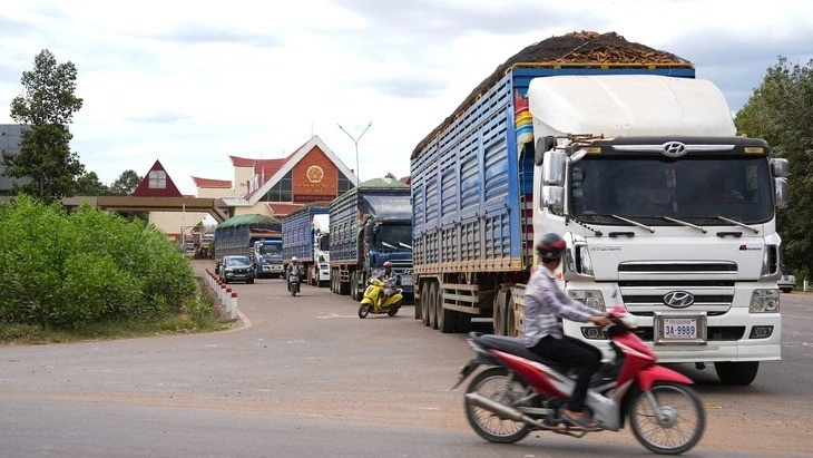 Lý do nông sản, thực phẩm nhập khẩu 'đứng hình' cận Tết