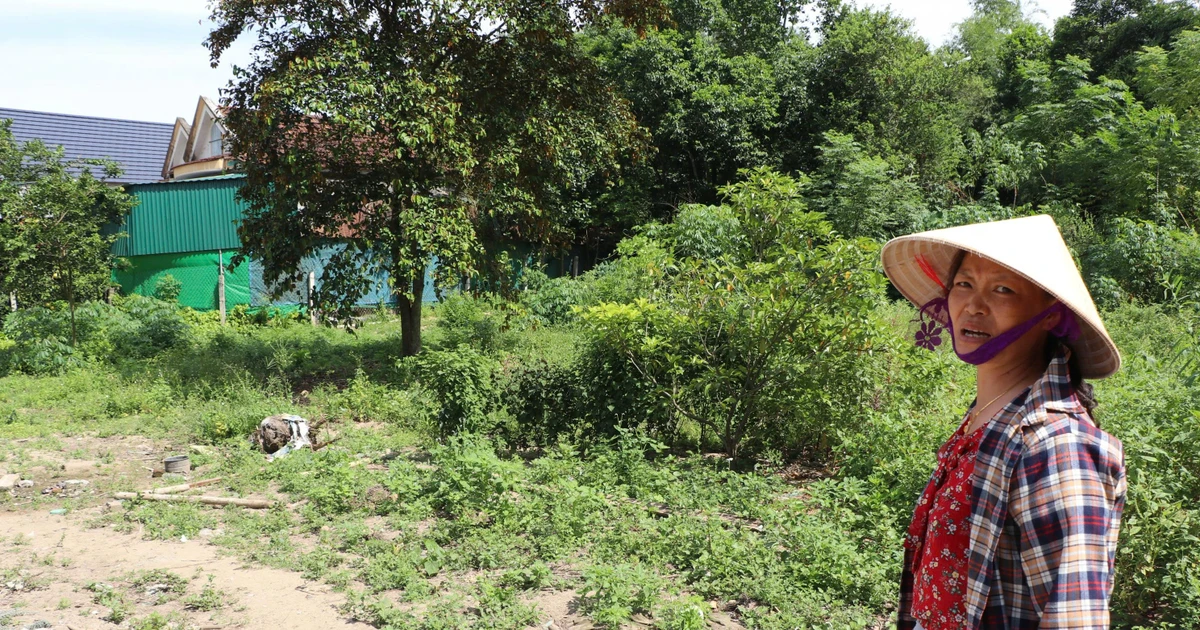 tienphong.vn