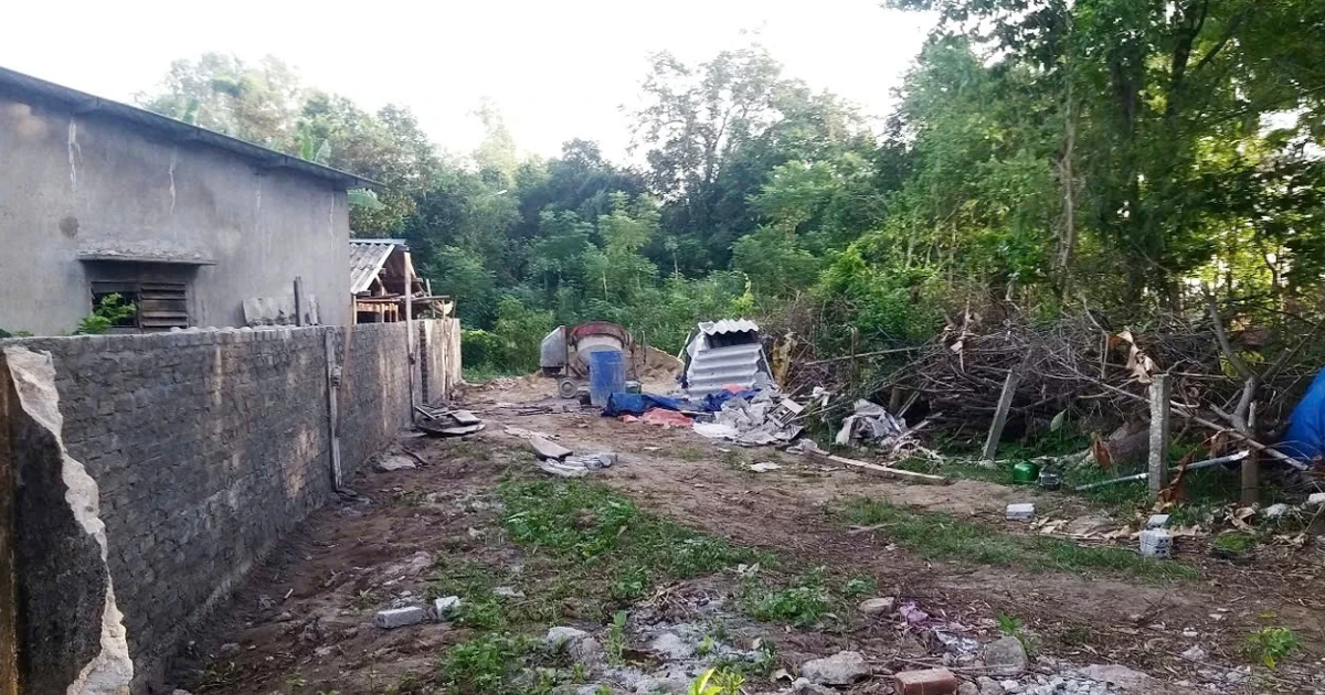 tienphong.vn