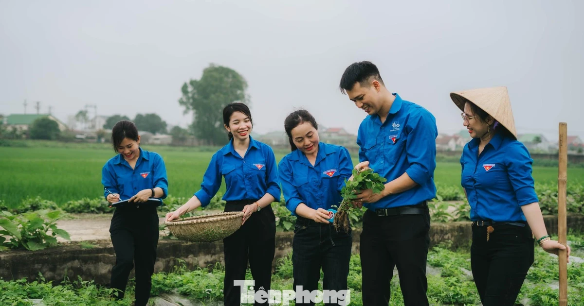 Hỗ trợ vốn vay ưu đãi phát triển mô hình kinh tế, sản phẩm OCOP ở 248 xã biên giới