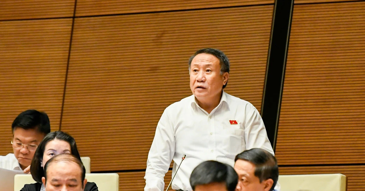 Đại biểu Quốc hội kiến nghị 'không quá cứng nhắc' quy định thiết bị an toàn cho trẻ em trên ô tô