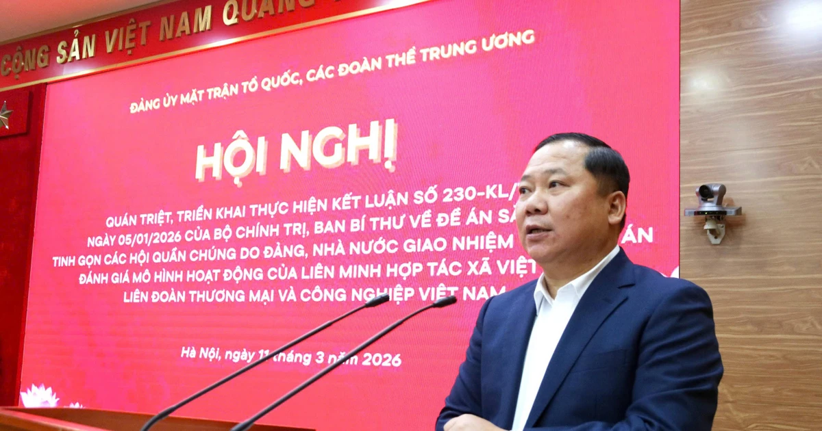 Triển khai Kết luận 230 của Bộ Chính trị, Ban Bí thư về sắp xếp các hội quần chúng