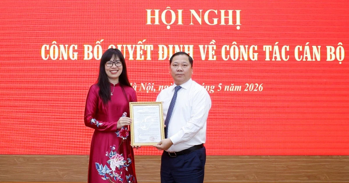 Bổ nhiệm Trợ lý Chủ tịch Ủy ban Trung ương Mặt trận Tổ quốc Việt Nam