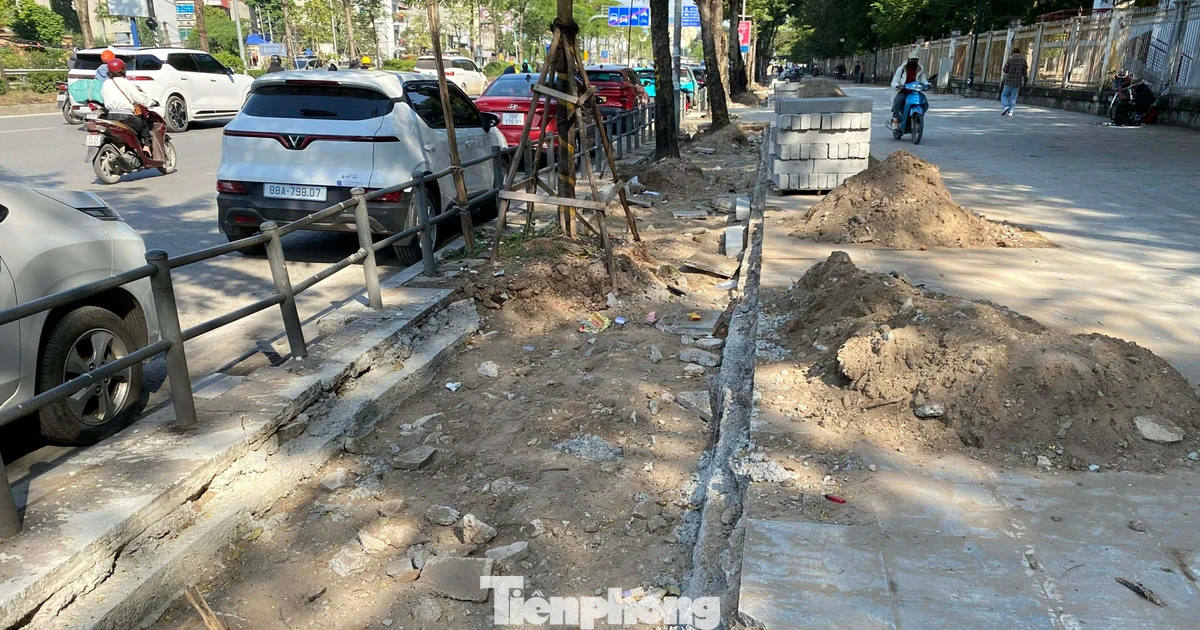 Hà Nội: 'Khoét' vỉa hè lát đá tự nhiên để lấy chỗ trồng cây hoa, thảm cỏ