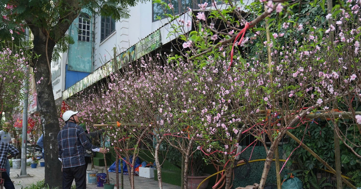 Hà Nội: Đảm bảo văn minh đô thị các điểm bán hoa Tết