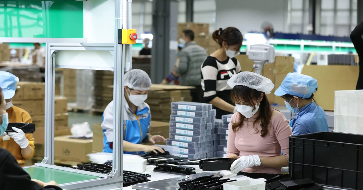 Một năm thông qua 89 luật, cắt giảm hơn 3.000 quy định: Doanh nghiệp nói gì?