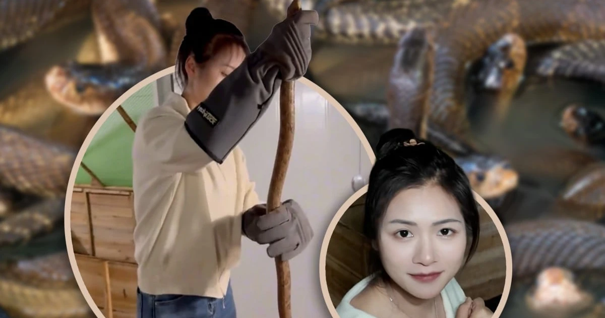 Bỏ phố về quê nuôi rắn, cô gái kiếm tiền tỉ mỗi năm