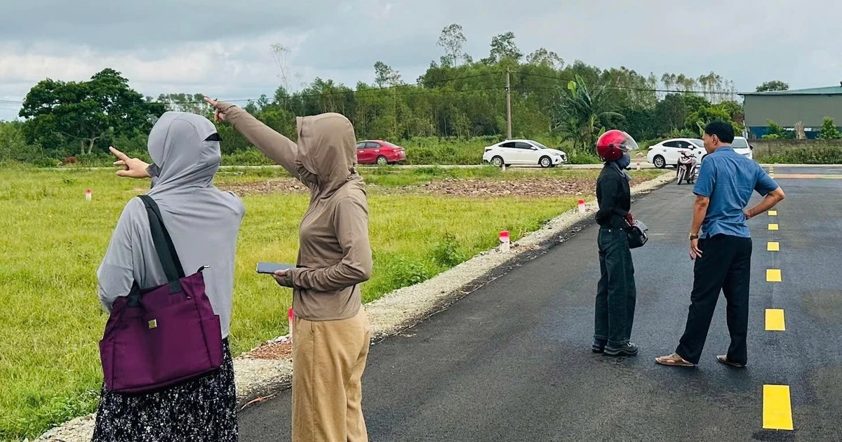 Cảnh tượng ‘cò đất’ ùn ùn đổ về, ô tô đậu kín đường làng sau công bố quy hoạch