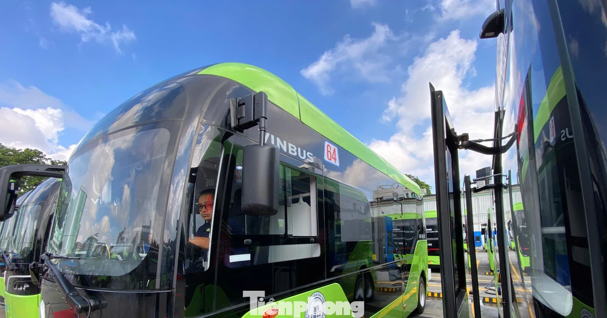 Chuyển đổi 169 xe buýt điện trên 9 tuyến ở TPHCM