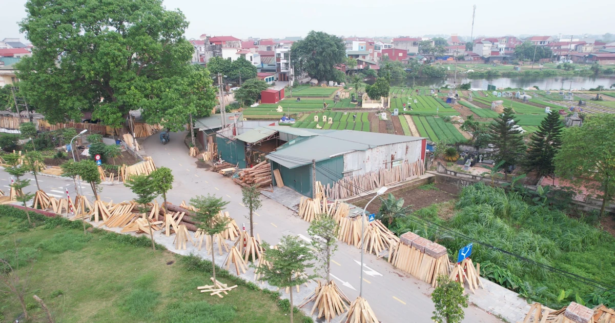 Lán xẻ gỗ 'nuốt' lòng đường, dân bức xúc vì ô nhiễm