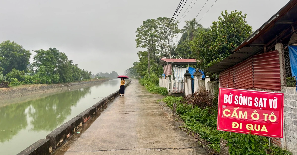 Phú Thọ: Bờ sông sạt lở kéo dài nhiều năm, hàng chục hộ sống trong bất an