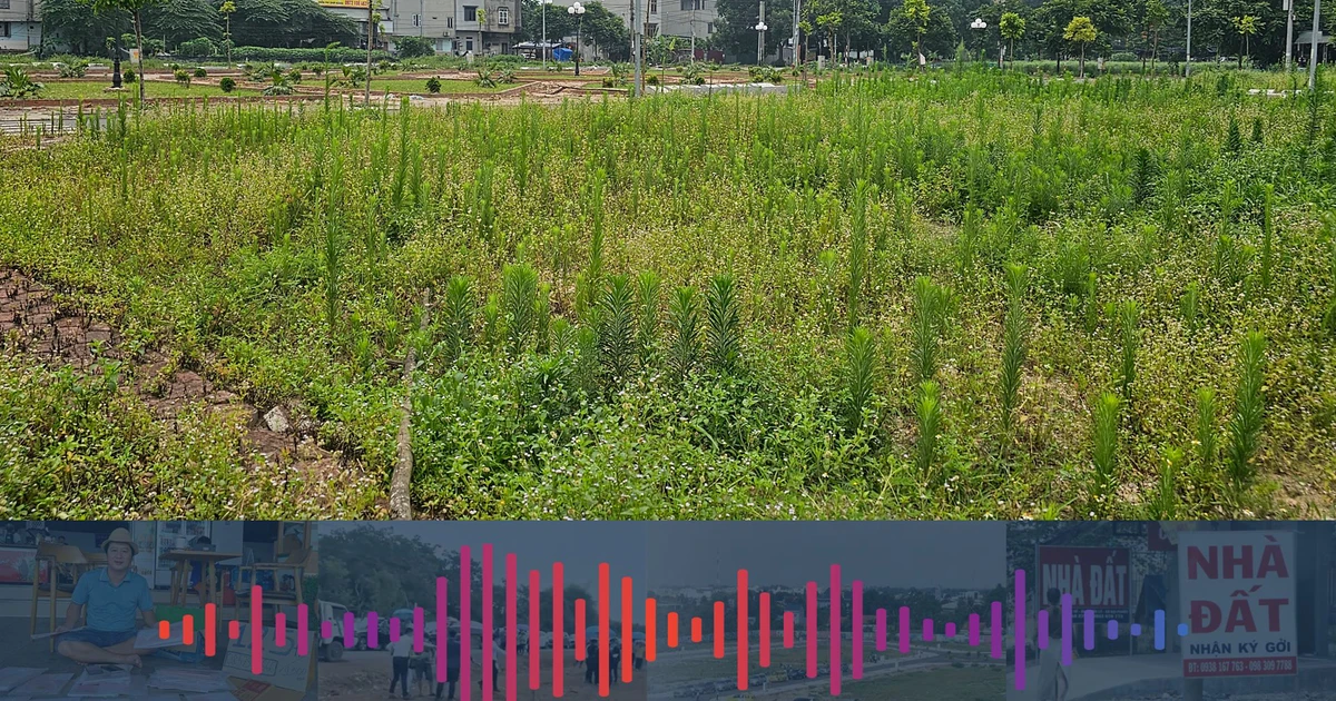 tienphong.vn