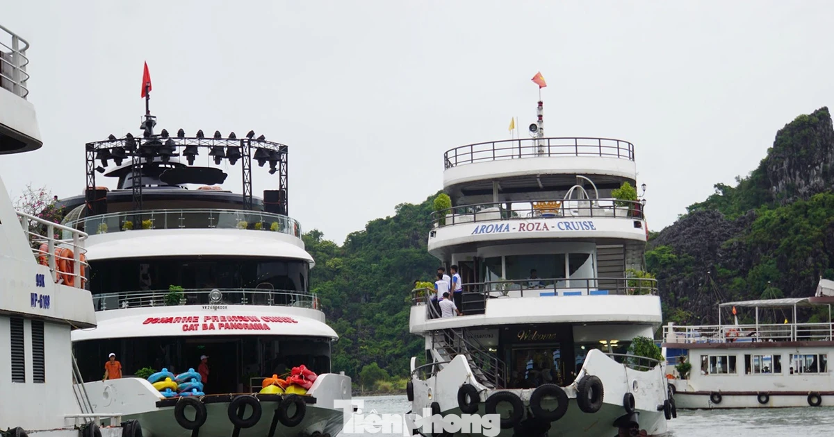 Tăng cường kiểm tra tàu chở khách du lịch trên vịnh Lan Hạ