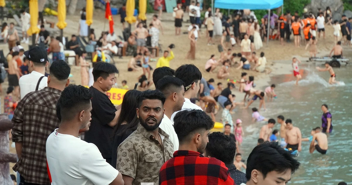 Hải Phòng khẩn cấp triển khai phòng ngừa dịch virus Nipah