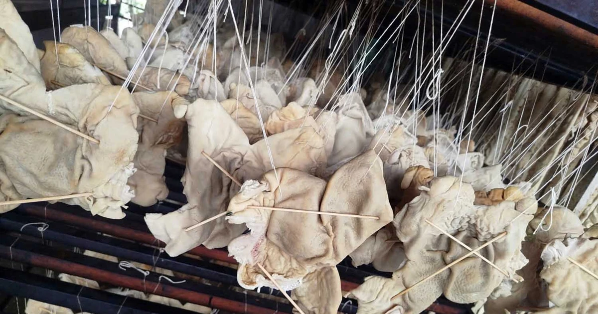 Hơn 55 tấn lòng, dạ dày và chân gà không rõ nguồn gốc trong kho doanh nghiệp ở Hải Phòng