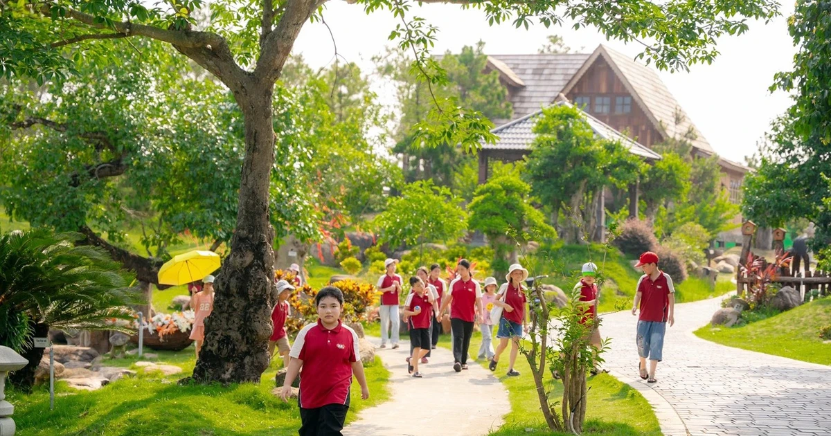 Khu trải nghiệm Lumora Hải Phòng: Dấu ấn riêng của Trường Mầm non Big Sun