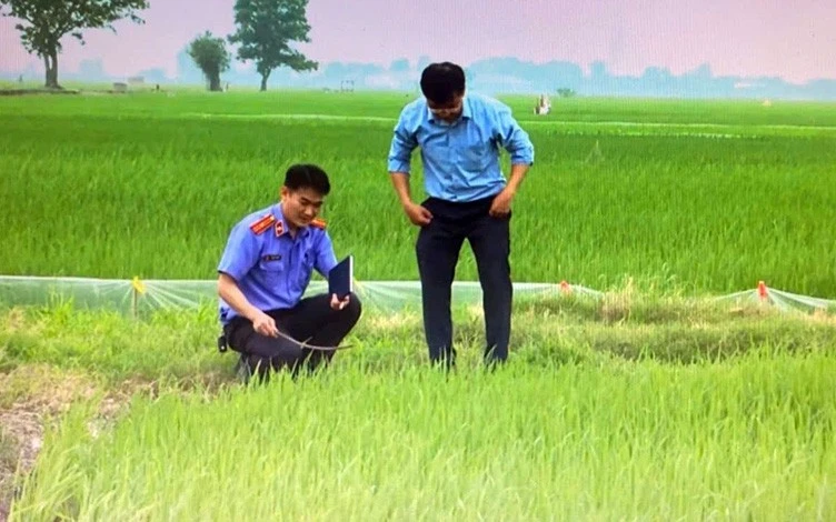 Nhiều người chết oan vì nạn bẫy chuột bằng điện ở Hải Phòng