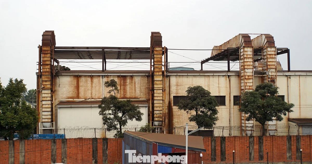 Tin mới vụ bão 'bụi màu' bủa vây nhà dân ở Hải Phòng