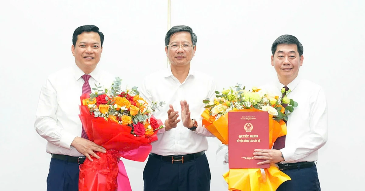 Công bố quyết định của Ban Thường vụ Thành ủy Hải Phòng về công tác cán bộ