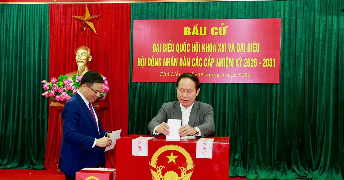 Cử tri ở Hải Phòng nô nức đi bầu cử