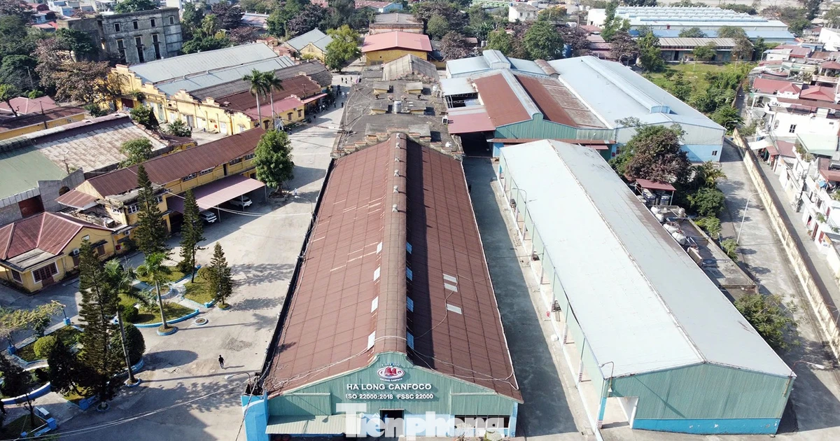Công ty Đồ hộp Hạ Long tái khởi động sản xuất, siết chặt kiểm soát an toàn thực phẩm