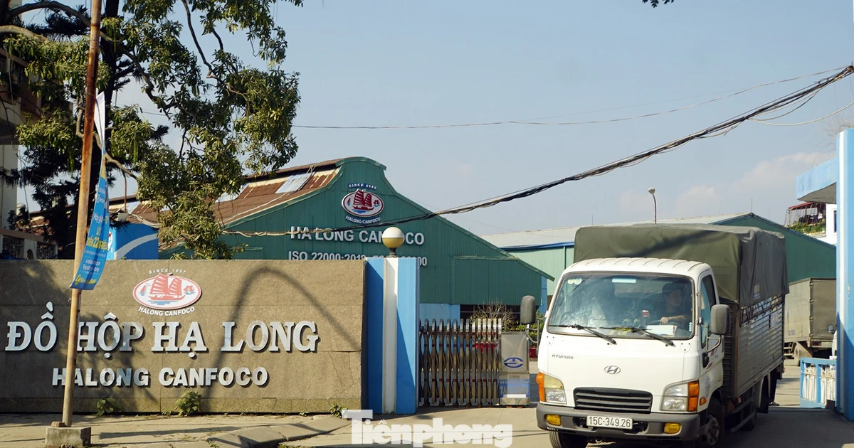 Vụ patê 'dính' thịt bệnh: Tình trạng nhà máy Đồ hộp Hạ Long hiện nay