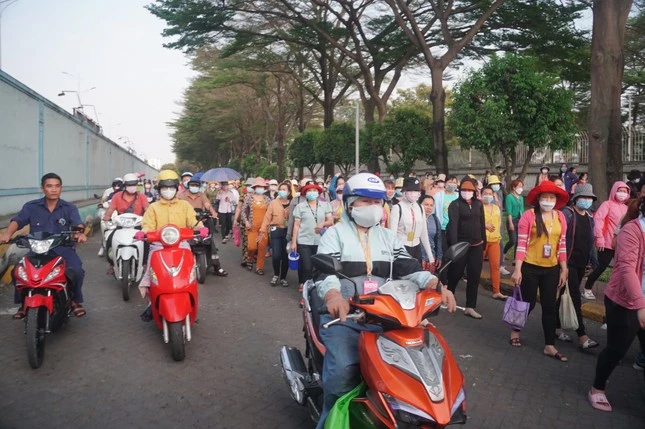 tienphong.vn