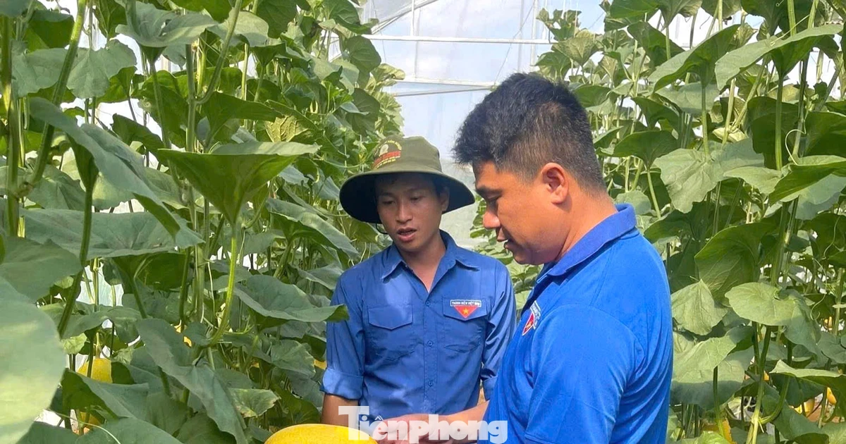 Bắt đất 'đẻ' ra tiền