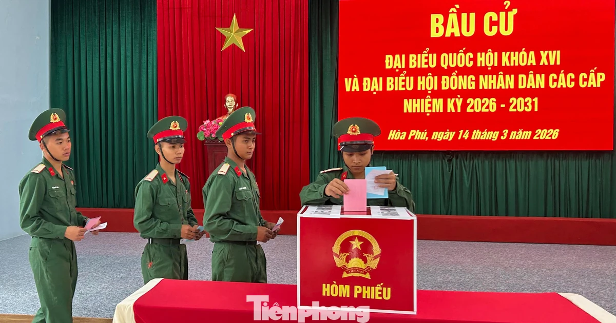 Lá phiếu đầu đời của những tân binh