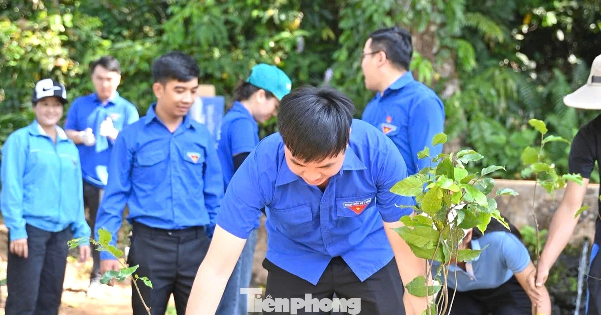 Tuổi trẻ Đắk Lắk hành động nhỏ, tạo môi trường xanh