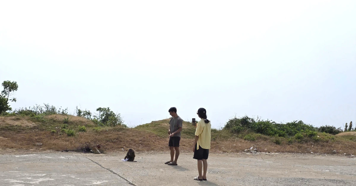 Bị khỉ hoang tấn công, 5 du khách nhập viện