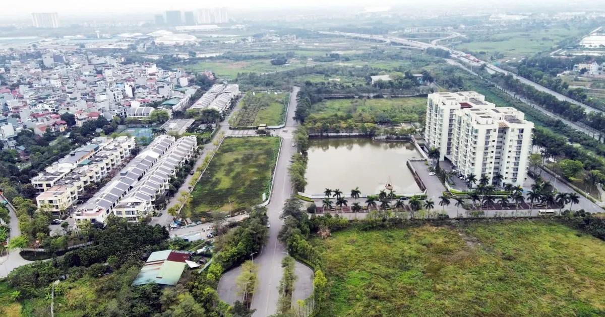 Diễn biến mới vụ chủ đầu tư 'lật kèo', đòi thanh lý hợp đồng sau 6 năm 'ôm' đất không triển khai