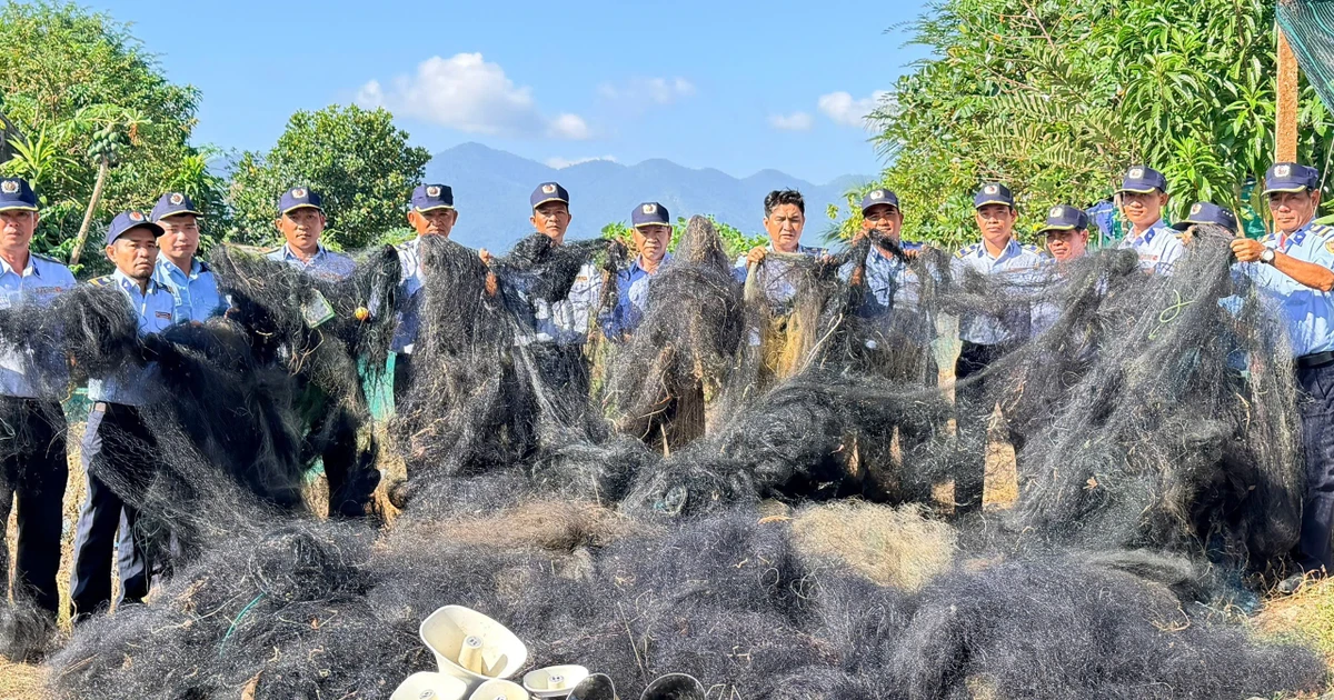 Quyết liệt 'xoá sổ' ma trận tận diệt chim yến