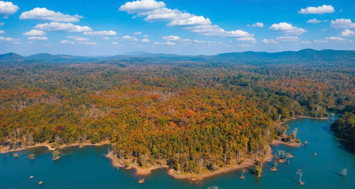 Vẻ đẹp huyền bí của rừng khộp Yok Đôn mùa trút lá