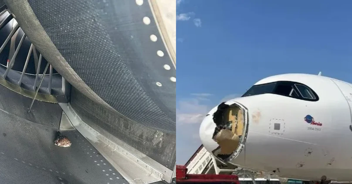 Máy bay chở 182 người bị vỡ đầu, gãy cánh quạt