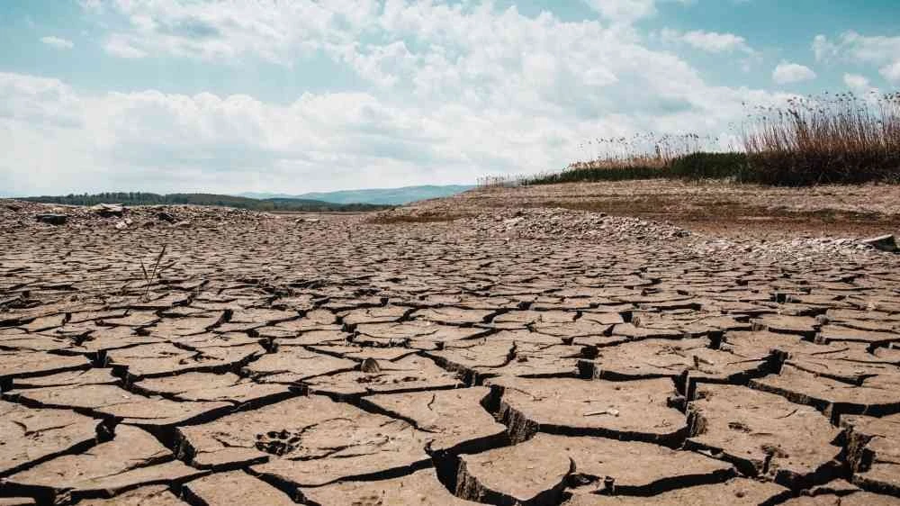 Tổ chức Khí tượng Thế giới cảnh báo về El Nino
