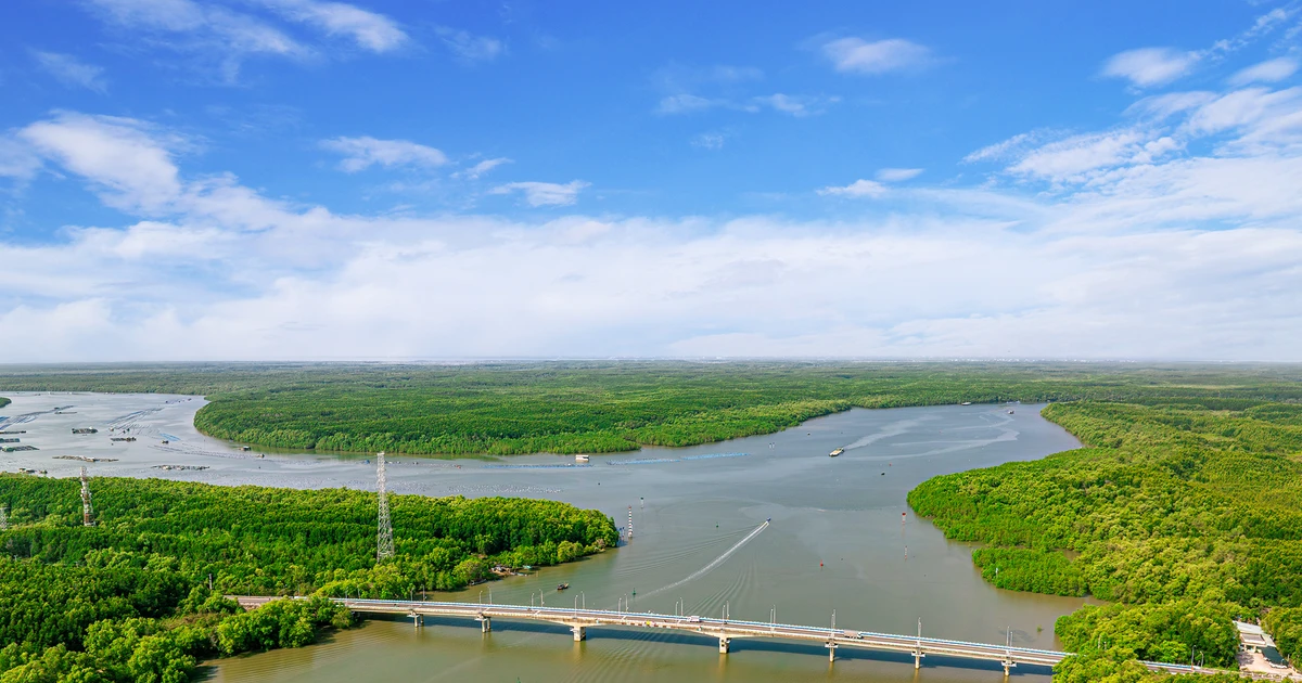 Hạt nhân của 'siêu bản đồ' du lịch miền Nam: Cần Giờ và giá trị không thể sao chép