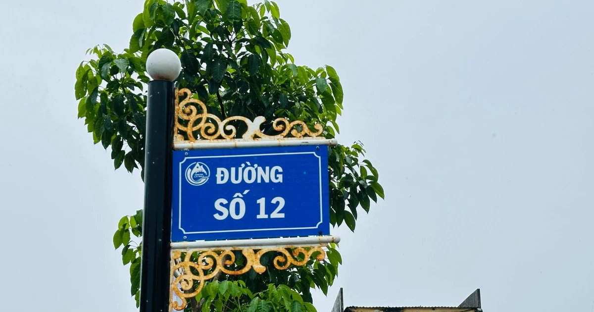Cà Mau bổ sung 185 tên người, địa danh vào ngân hàng tên đường