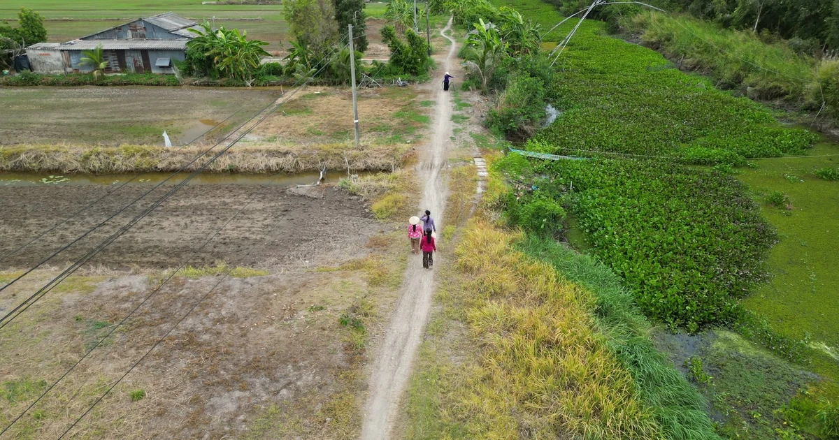 Hơn 40 năm sống khổ với đường 'lầy lội' của dân vùng kinh tế mới ven đê biển Tây
