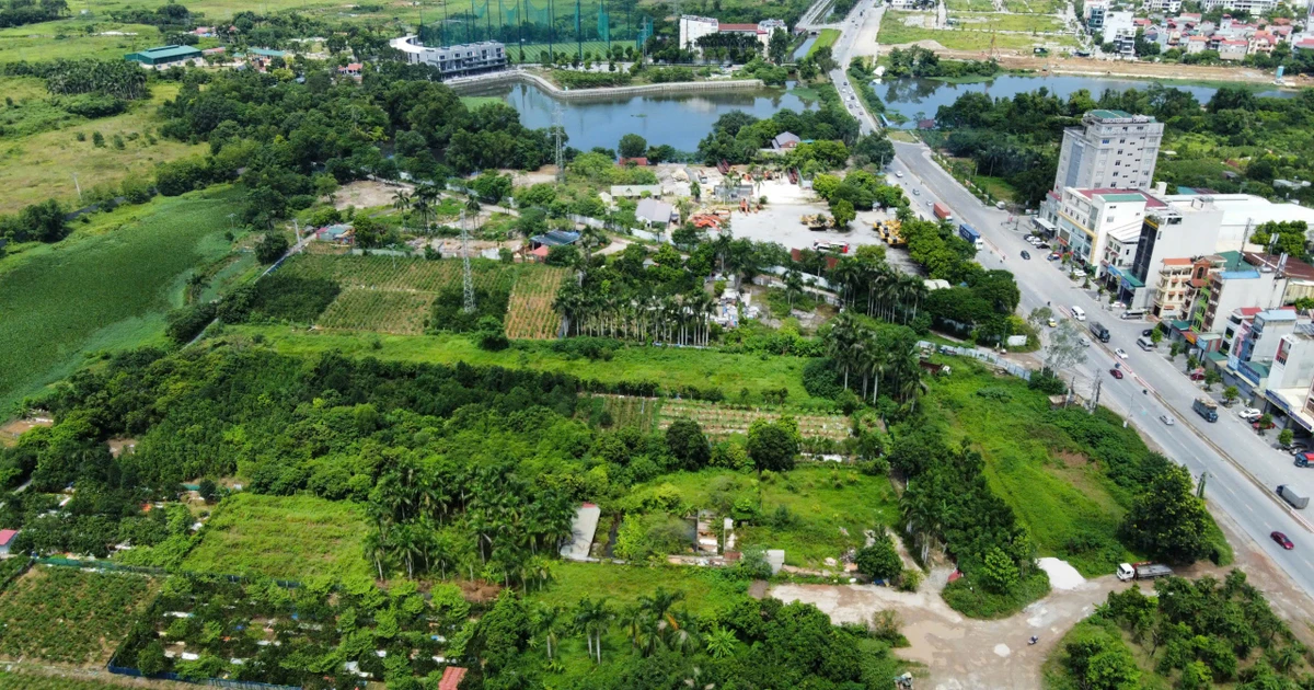 Đất nằm trong nhiều quy hoạch, căn cứ nào để chuyển mục đích sử dụng?