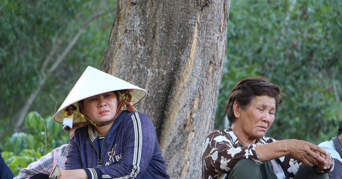 Mẹ nạn nhân mất tích trên núi Hoàng Ngưu Sơn: 'Mong con còn sống và bình an trở về'