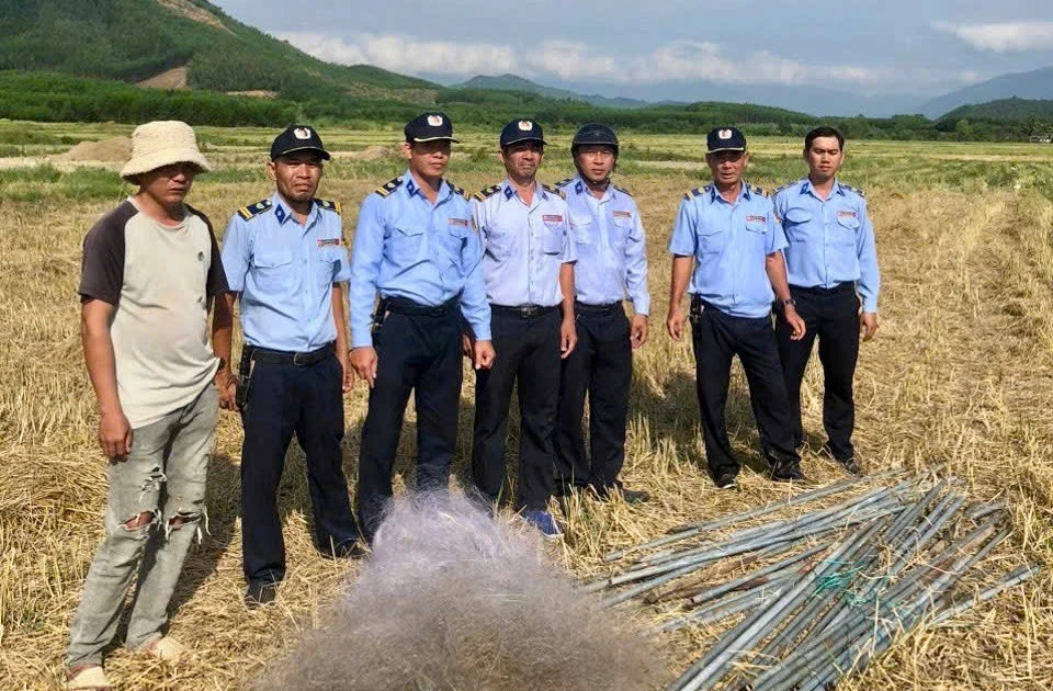 Chim yến bị săn bắt tận diệt, Khánh Hòa lập tổ phản ứng nhanh ở tất cả xã, phường