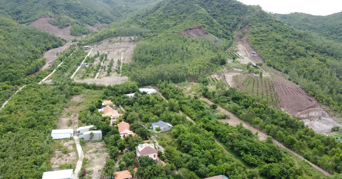 Khánh Hòa siết chặt kỷ luật thi hành án hành chính, chấm dứt tình trạng '3 không'