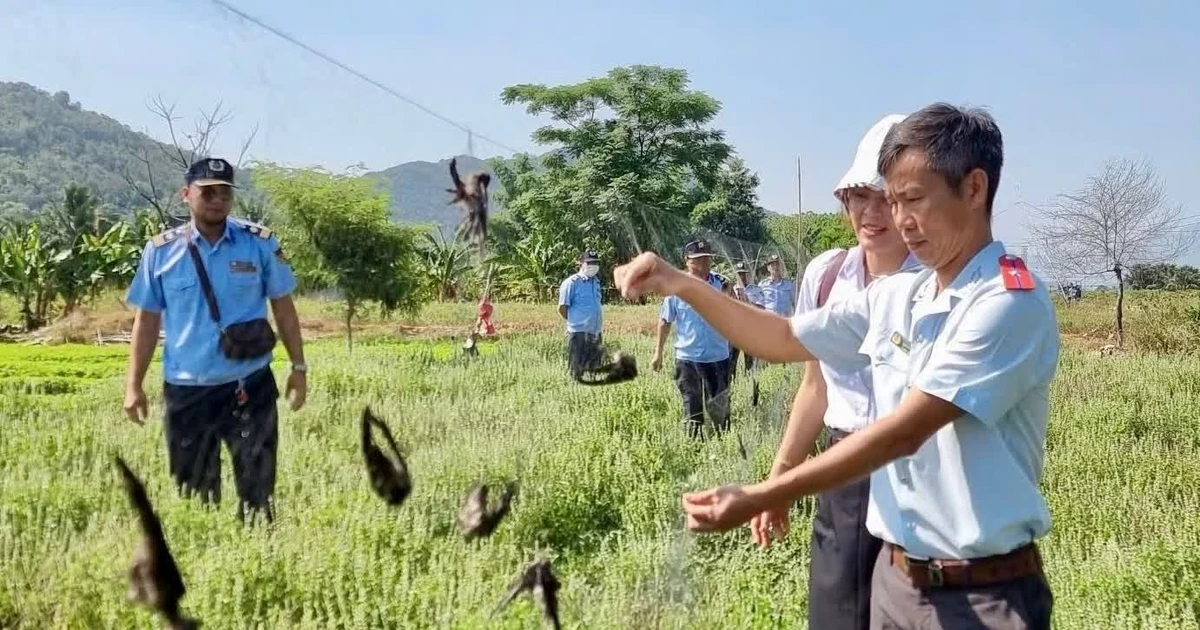 Khánh Hòa 'siết' nạn mua bán động vật hoang dã trên không gian mạng