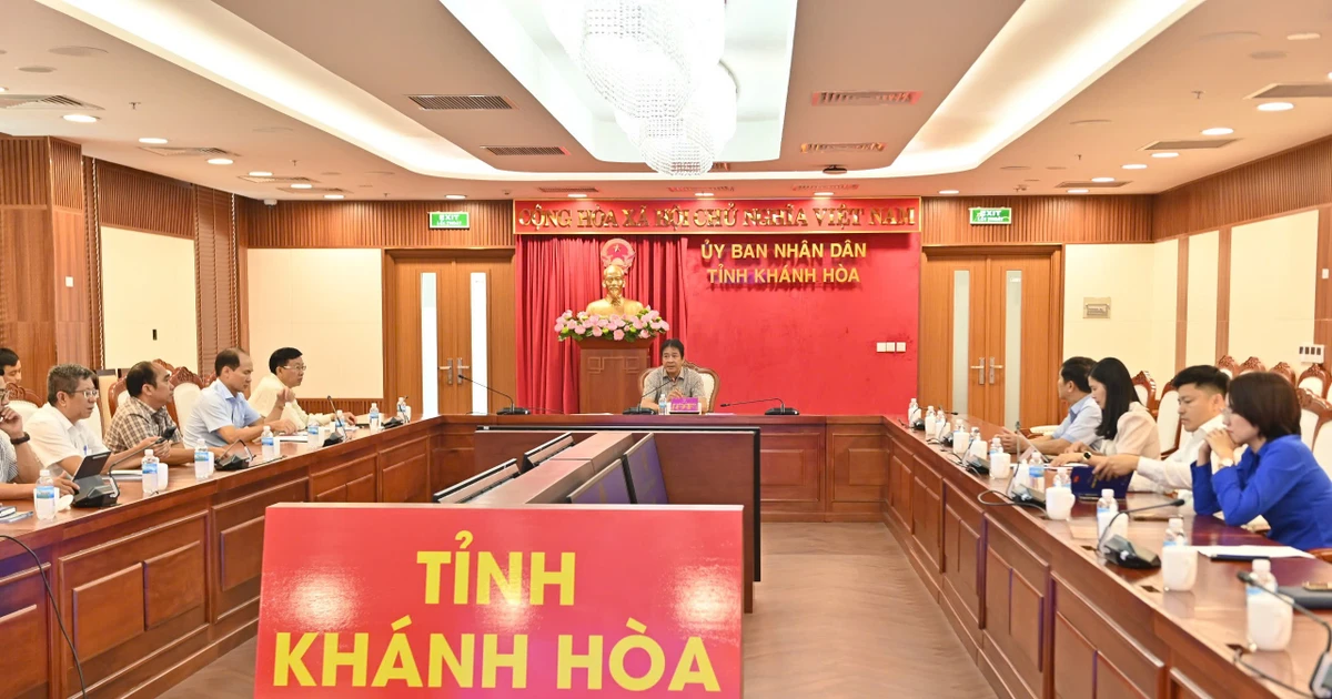 Sẵn sàng cho Tiền Phong Marathon 2026 tại Nha Trang